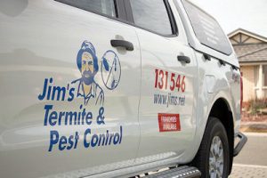 Redback Pest Control Exterminator Albury